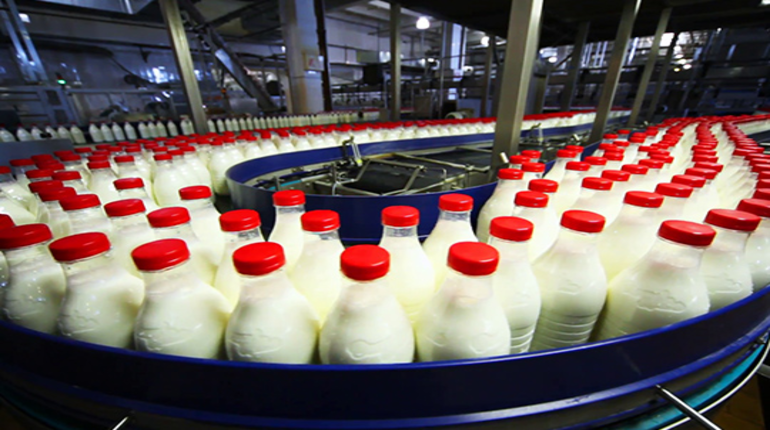 BAGHDAD DAIRY FACTORY
